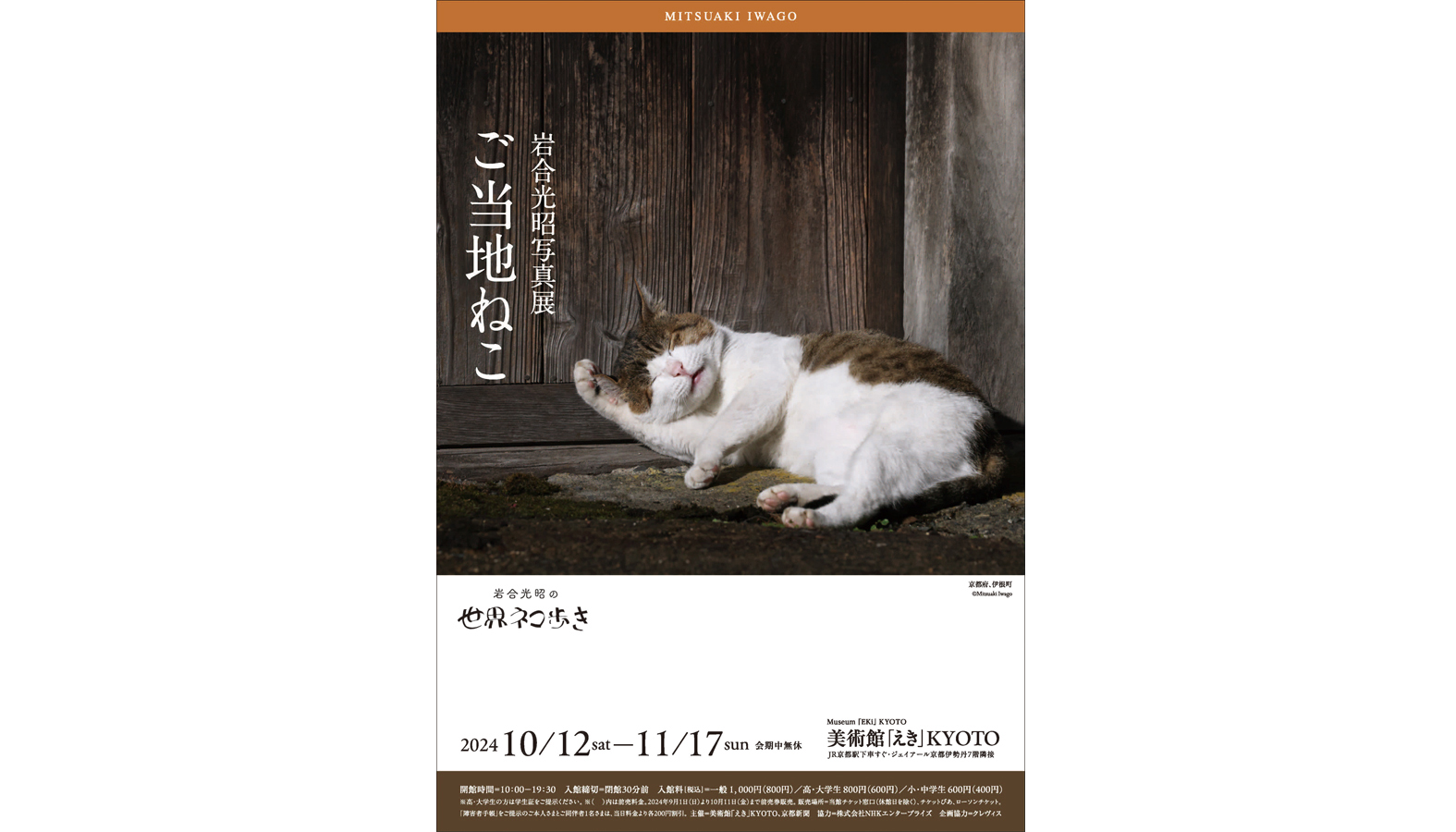 全国のご当地ねこたちが大集合する展覧会「岩合光昭写真展 ご当地ねこ」が美術館「えき」KYOTOにて2024年10月12日から開催